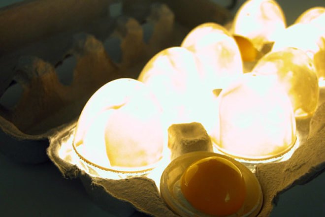 Recycling / Compost,Green Products,Green Materials,Green Lighting,recycled egg carton,paper pulp,recyclable cardboard