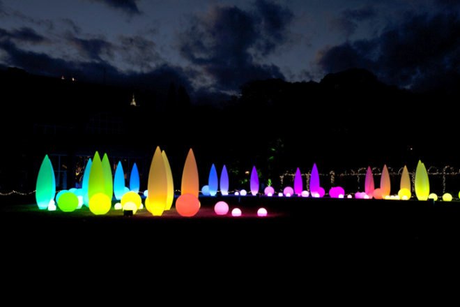 green design, eco design, sustainable design, Atlanta Botanical Garden, LED winter wonderland, LED Christmas Tree, Green Christmas, Green Tree, Lighting Science Group, recyclable Christmas tree, CD+M Lighting and Design Group, topiary