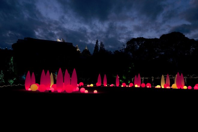 green design, eco design, sustainable design, Atlanta Botanical Garden, LED winter wonderland, LED Christmas Tree, Green Christmas, Green Tree, Lighting Science Group, recyclable Christmas tree, CD+M Lighting and Design Group, topiary