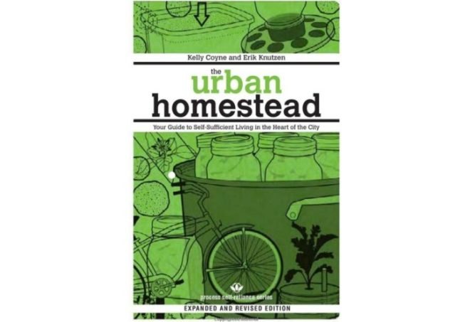 last minute gift ideas, gift ideas, green gift ideas, book suggestions, holiday book suggestions, eco gift ideas