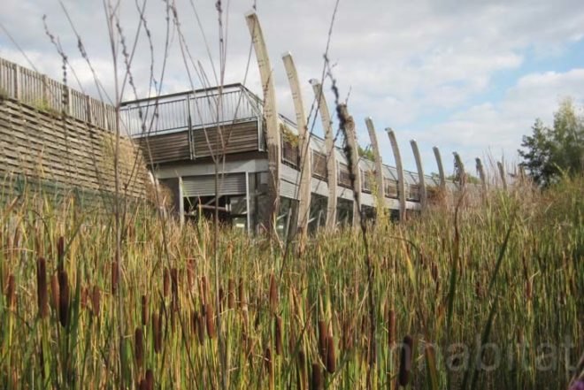 Wind Power,London,Landscape Architecture,green roof,Green Lighting,Daylighting,Botanical,Botanical,events pavilion,pavilion for rent,ecology pavilion,mile end park london,wind turbine,wildlife,underground building