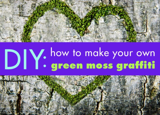Stories from Space, Moss Graffiti, moss, garden moss, gardening, green design, sustainable design, green graffiti, eco-design, vertical garden, outdoors, plants, botanical
