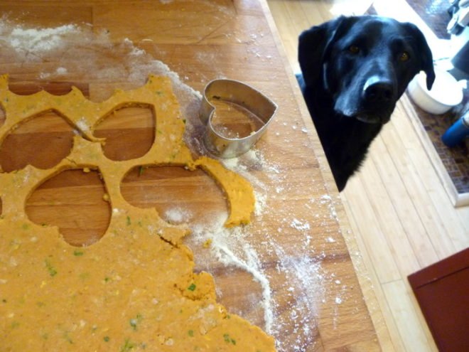 Pumpkin Peanut Butter Doggie Cookies, dog biscuits, dog cookies, pumpkin, peanut butter, vegetarian dog biscuits, dog treats, diy, homemade, homemade dog treats