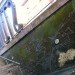 Reverse Moss Graffiti, reverse graffiti, eco art, green art, Stefaan De Croock, stuk arts centre, belgium