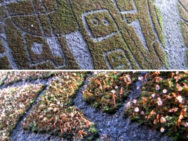Reverse Moss Graffiti, reverse graffiti, eco art, green art, Stefaan De Croock, stuk arts centre, belgium