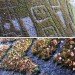 Reverse Moss Graffiti, reverse graffiti, eco art, green art, Stefaan De Croock, stuk arts centre, belgium
