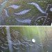 Reverse Moss Graffiti, reverse graffiti, eco art, green art, Stefaan De Croock, stuk arts centre, belgium