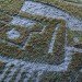 Reverse Moss Graffiti, reverse graffiti, eco art, green art, Stefaan De Croock, stuk arts centre, belgium