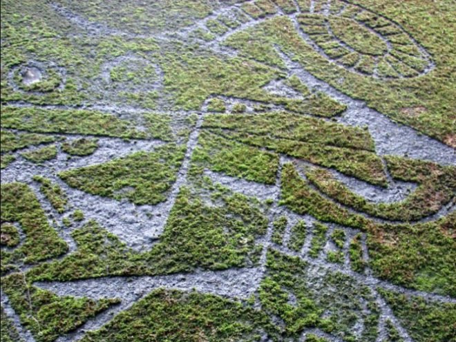 Reverse Moss Graffiti, reverse graffiti, eco art, green art, Stefaan De Croock, stuk arts centre, belgium