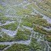 Reverse Moss Graffiti, reverse graffiti, eco art, green art, Stefaan De Croock, stuk arts centre, belgium