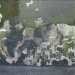 Reverse Moss Graffiti, reverse graffiti, eco art, green art, Stefaan De Croock, stuk arts centre, belgium