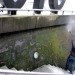 Reverse Moss Graffiti, reverse graffiti, eco art, green art, Stefaan De Croock, stuk arts centre, belgium