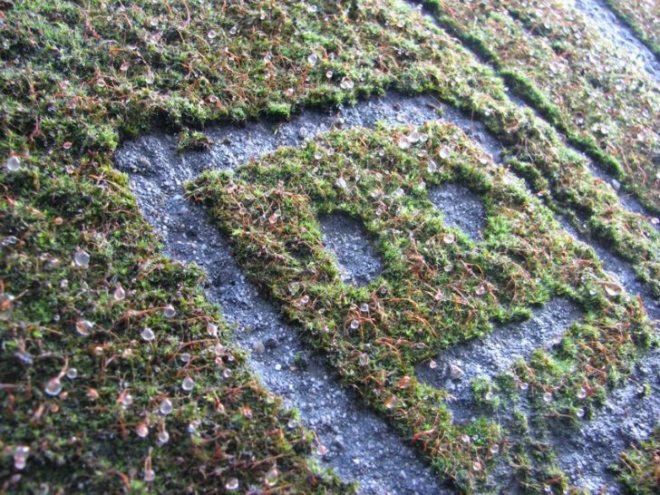 Reverse Moss Graffiti, reverse graffiti, eco art, green art, Stefaan De Croock, stuk arts centre, belgium