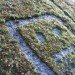 Reverse Moss Graffiti, reverse graffiti, eco art, green art, Stefaan De Croock, stuk arts centre, belgium