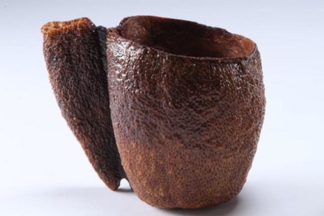 Zero energy,Recycling / Compost,Green Products,Green Materials,New Materials,biomimicry,art,orange peels recycling,biodegradable objects,israeli design,fruit containers,