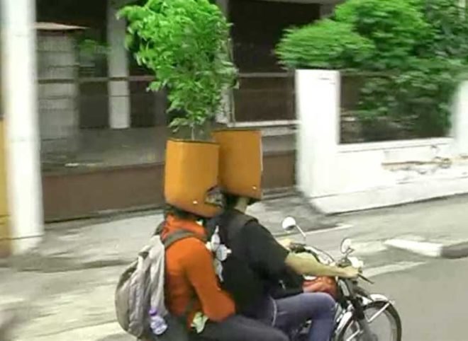 bike helmets, planted bike helmets, bicycling, biking, bike stunt, bike protest, bicycle, bicycle helmet, bike safety, green cities, green indonesia, indonesia environment, environmentalism in indonesia, indonesian art, environmental art, bike art, bicycle art