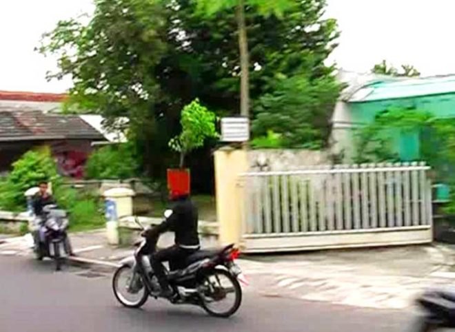 bike helmets, planted bike helmets, bicycling, biking, bike stunt, bike protest, bicycle, bicycle helmet, bike safety, green cities, green indonesia, indonesia environment, environmentalism in indonesia, indonesian art, environmental art, bike art, bicycle art