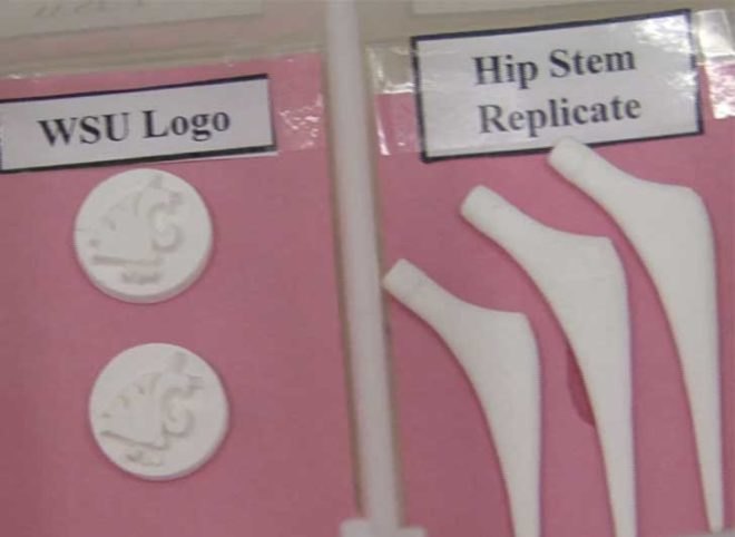 3d bone, 3d printing, 3d printer, 3d printing medicine, medicine technology, bone technology, bone replacement technology, hip replacement technology, growing bone, growing new bones, bone growth technology, medical advancements, engineering and medicine, washington state university, wsu, wsu research, medical research