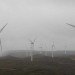wind turbine, wind turbine fire, wind farm fire, wind farm blaze, hurricane wind turbine, wind turbine ablaze, wind turbine on fire, wind power, wind power generation, renewable energy, green power, sustainable power, sustainable energy, wind turbine limits, extreme wind
