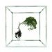 makoto azuma, botanical art, shiki formula, bonsai tree art, fragile tree installations, japanese artwork, tree art
