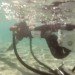 rocket boots, rocket pack, jet pack, jet boots, self propelled, flying machine, water powered, water power, water powered flying machine, green flight, eco flying, water powered boots, water powered jet boots, zapata, flyboard