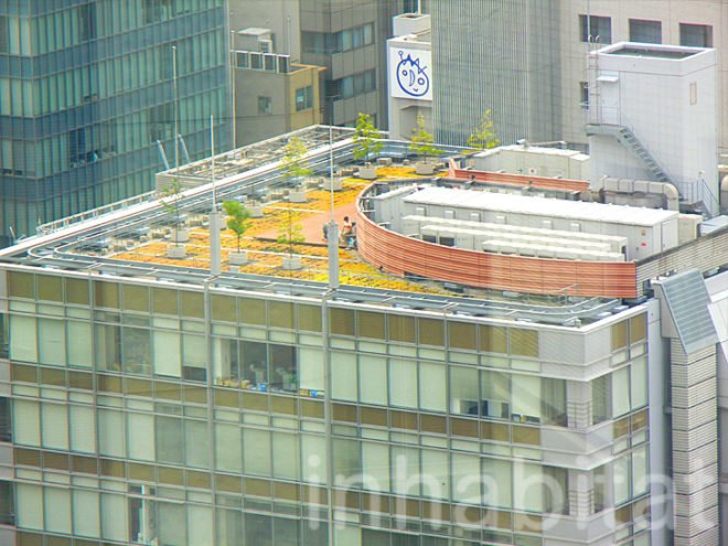 green roofs, green roof, osaka, kyoto, japanese green roofs, green roofs in japan, sustainability in japan, vertical gardens in japan, green wall, vertical garden, green walls in japan, green design, eco design, kinkaku-ji, golden pavilion, green steps, Kazuyuki Ishihara, secret garden, midori no tobira