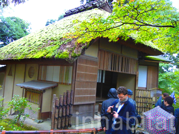 green roofs, green roof, osaka, kyoto, japanese green roofs, green roofs in japan, sustainability in japan, vertical gardens in japan, green wall, vertical garden, green walls in japan, green design, eco design, kinkaku-ji, golden pavilion, green steps, Kazuyuki Ishihara, secret garden, midori no tobira
