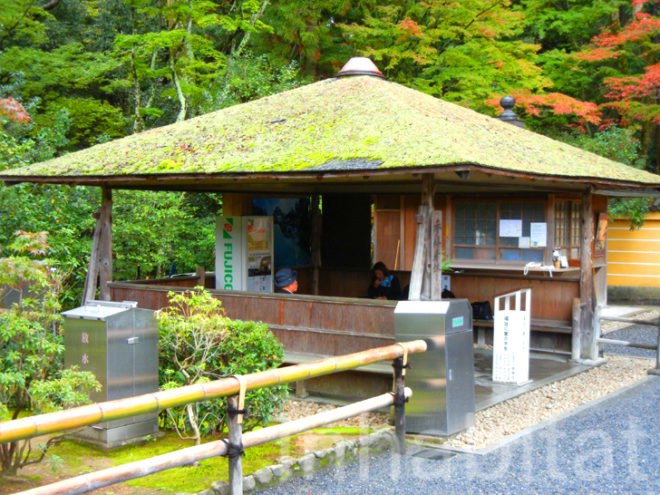 green roofs, green roof, osaka, kyoto, japanese green roofs, green roofs in japan, sustainability in japan, vertical gardens in japan, green wall, vertical garden, green walls in japan, green design, eco design, kinkaku-ji, golden pavilion, green steps, Kazuyuki Ishihara, secret garden, midori no tobira