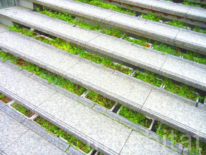 green roofs, green roof, osaka, kyoto, japanese green roofs, green roofs in japan, sustainability in japan, vertical gardens in japan, green wall, vertical garden, green walls in japan, green design, eco design, kinkaku-ji, golden pavilion, green steps, Kazuyuki Ishihara, secret garden, midori no tobira