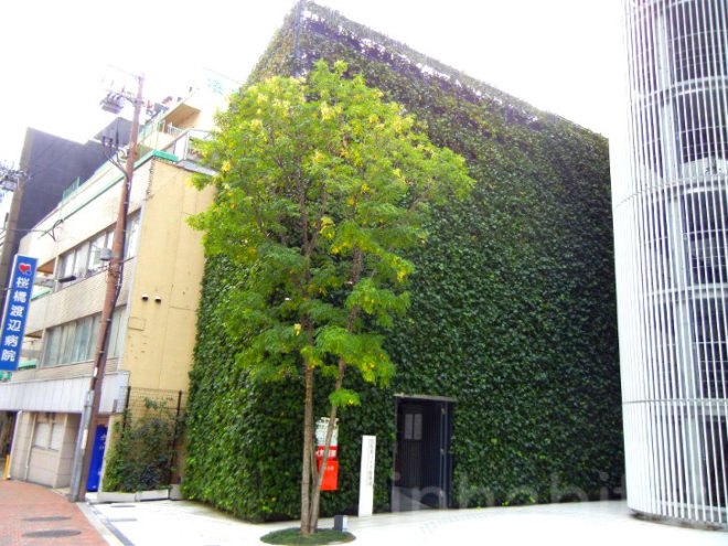 green roofs, green roof, osaka, kyoto, japanese green roofs, green roofs in japan, sustainability in japan, vertical gardens in japan, green wall, vertical garden, green walls in japan, green design, eco design, kinkaku-ji, golden pavilion, green steps, Kazuyuki Ishihara, secret garden, midori no tobira