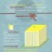 christmas waste, holiday waste, christmas recycling, holiday recycling, cute down on holiday waste, cut down on christmas waste, christmas info graphic, info graphic, holiday info graphic, cool info graphic