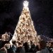 jack daniels, jack daniels whiskey, jack daniels christmas tree, whiskey barrels, whiskey barrel christmas tree, recycled christmas tree, green christmas tree, lynchberg, Tennessee, whiskey christmas tree, wacky christmas trees, green design, eco design, sustainable design, jack daniel's, barrel tree