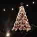 jack daniels, jack daniels whiskey, jack daniels christmas tree, whiskey barrels, whiskey barrel christmas tree, recycled christmas tree, green christmas tree, lynchberg, Tennessee, whiskey christmas tree, wacky christmas trees, green design, eco design, sustainable design, jack daniel's, barrel tree