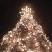jack daniels, jack daniels whiskey, jack daniels christmas tree, whiskey barrels, whiskey barrel christmas tree, recycled christmas tree, green christmas tree, lynchberg, Tennessee, whiskey christmas tree, wacky christmas trees, green design, eco design, sustainable design, jack daniel's, barrel tree