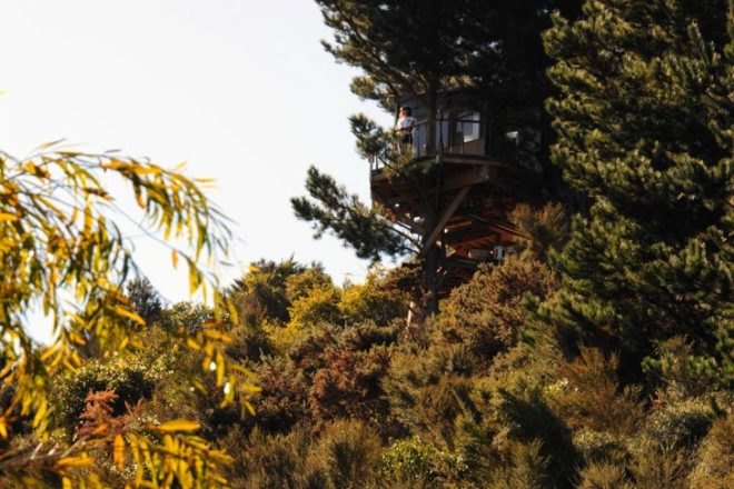 Jono Williams, New Zealand, The Best Hut, treehouses, treehuts, radio-controlled drawbridge, green design, sustainable design, eco design, green materials, recycled materials, rainwater harvest, gas heater, New Zealand, LED lighting