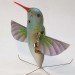 nano hummingbird, flying robot, tiny robot, nano robot, nanobot, biomimicry, hummingbird, hummingbird robot, surveillance robot, robot spy, flying spy robot, airborne robot, aerovironment, darpa, robotics, robot technology
