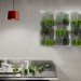naturwall, green wall, office wall, green partitions, plant wall, eco wall, living wall, cubicle wall, eco cubicle walls, recycled coffee cup designs