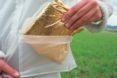 golden, Basic House, Martin Azua, temporary shelter, prefab, green design, sustainable design, self-inflating shelter, self-inflating home, solar gain, green design, sustainable design, eco-design