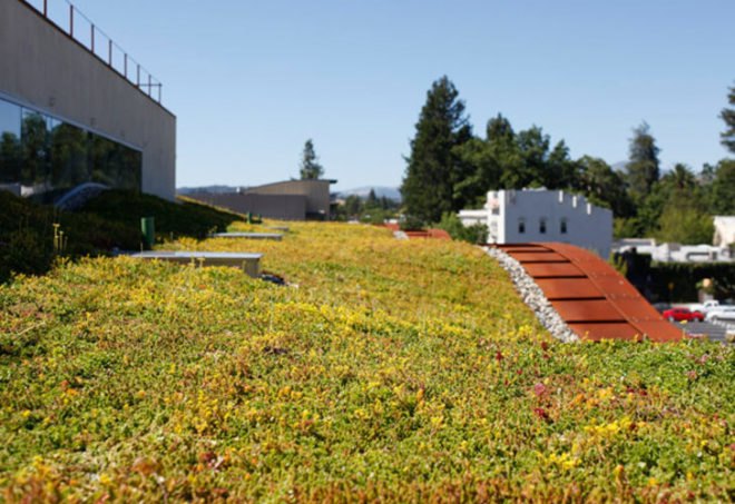 heat island reduction, storm water retention, eco roof, green roof cover, rain water, eco-lodges, vegetated roofs, green roof hotel, eco lodging,green roof, eco resort, roughing it green retreat,