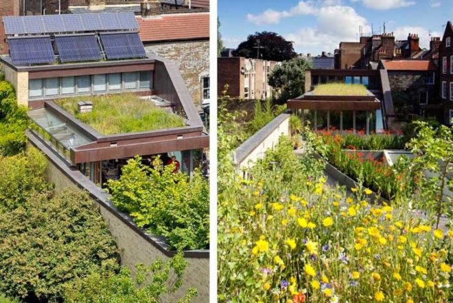 energy efficiency,Architecture,Passivehaus,london,bere architects,solar thermal hot water heating,energy efficient,triple glazing,triple glazing,green roof,rainwater recycling,