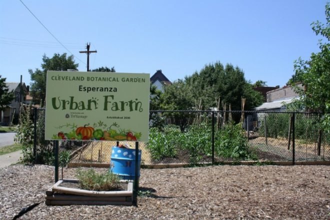 cleveland ohio, the cleveland kid, post-recession urban gardening, urban farming, vacant plots, abandoned houses, land lots, derelict land
