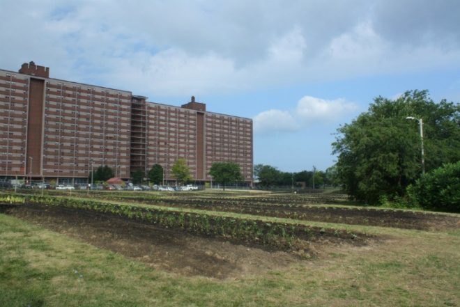 cleveland ohio, the cleveland kid, post-recession urban gardening, urban farming, vacant plots, abandoned houses, land lots, derelict land