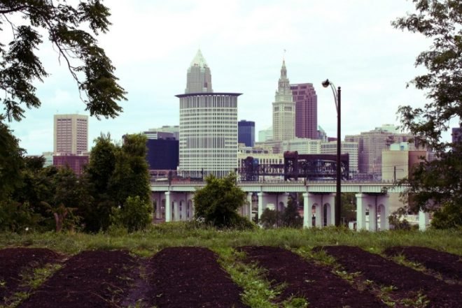 cleveland ohio, the cleveland kid, post-recession urban gardening, urban farming, vacant plots, abandoned houses, land lots, derelict land