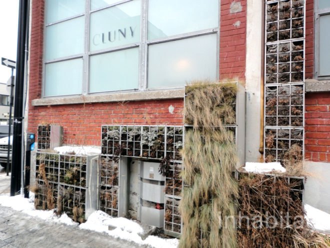 green design, eco design, sustainable design, Cluny, Old Montreal, Darling Foundry, adaptive reuse, reclaimed materials, salvaged materials, living wall, edible garden