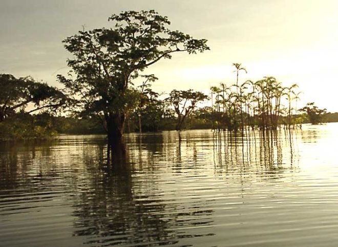 ecuador, lago agrio, oil field, ecuador oil, oil in ecuador, ecuadorian oil field, chevron, texaco, oil pollution, oil pit, tar pit, oil production, lawsuit, case, lago agrio lawsuit, lago agrio case, oil pollution case