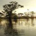 ecuador, lago agrio, oil field, ecuador oil, oil in ecuador, ecuadorian oil field, chevron, texaco, oil pollution, oil pit, tar pit, oil production, lawsuit, case, lago agrio lawsuit, lago agrio case, oil pollution case