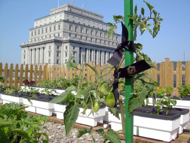 green design, eco design, sustainable design, Fairmont Resorts, Fairmont The Queen Elizabeth Hotel, Montreal, sustainable tourism, eco-tourism, eco-luxury, green roof, edible garden, Bed-In, John Lennon and Yoko Ono, Give Peace a Chance, Montreal, Climate Savers Program, Four Green Key awayrd, EV charging station, BMW Bicycle