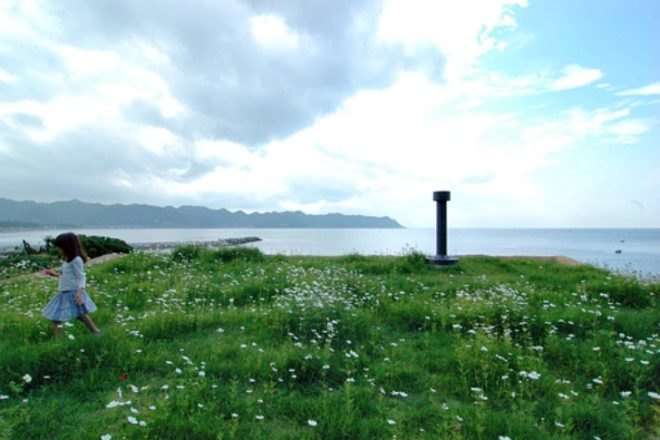 House C, Hiroshi Nakamura & NAP, japan, green roof, eco home, prairie roof, green home