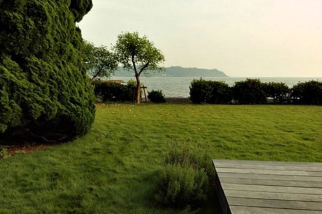 House C, Hiroshi Nakamura & NAP, japan, green roof, eco home, prairie roof, green home