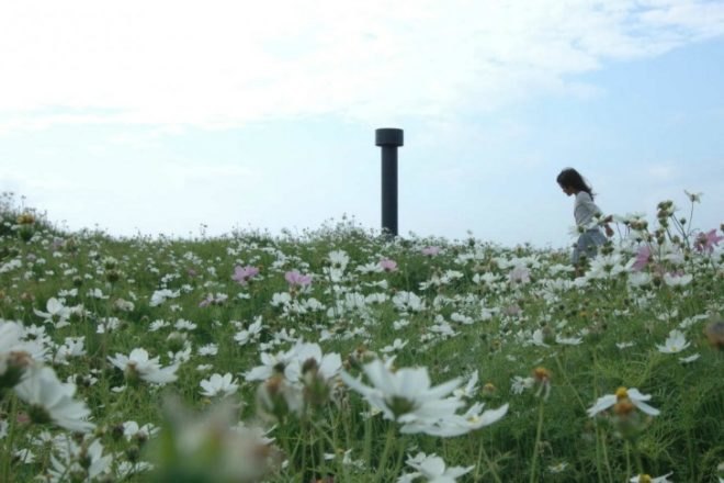 House C, Hiroshi Nakamura & NAP, japan, green roof, eco home, prairie roof, green home